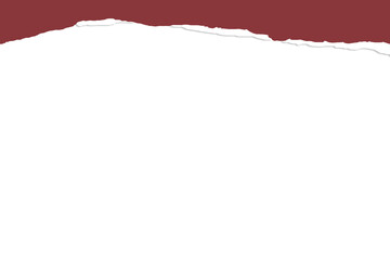 Ripped paper on transparent background, ripped paper, hole torn isolated cut out png, white paper ripped clip art