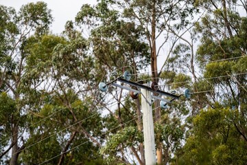 Powerlines in the bush in Australia. Power poles a fire hazard