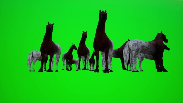 3D animation of a group of horses in the desert chroma green screen  3d people redner chroma key background animation man and woman walk talk