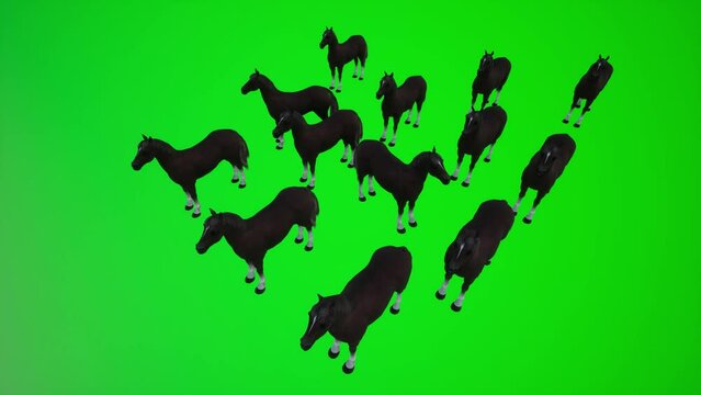3D animation of a group of horses on a farm high angle chroma green screen  3d people redner chroma key background animation man and woman walk talk