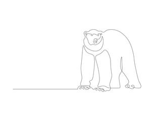 Continuous line drawing of polar bear. One line of polar bear. Antarctic animal concept continuous line art. Editable outline.
