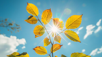 Fototapeta na wymiar Solar Whisper Radiant sunlight filters through a canopy of translucent leaves, outlining their delicate veins against a backdrop of azure sky and soft clouds, in a dance of light and shadow.