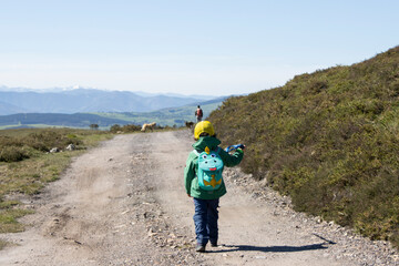 little boy on mountain route with backpack and hiking stick
