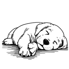 Sleeping Dog illustration