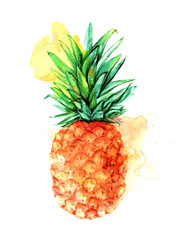Hand drawn watercolor pineapple fruit with artistic paint stains illustration