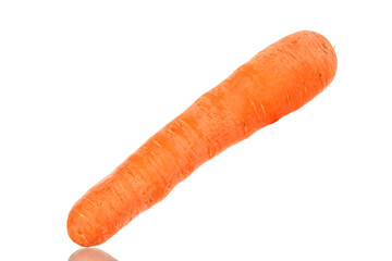 One sweet carrot, macro, isolated on a white background.