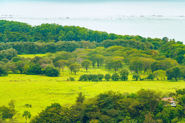 Aerial view of a tropical landscape, showcasing lush greenery, diverse tree canopy, and a meadow, with a hint of the ocean's edge. High quality photo. Uvita Puntarenas Province Costa Rica