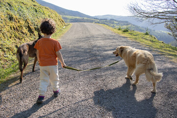 little boy walking through the mountains with his dogs