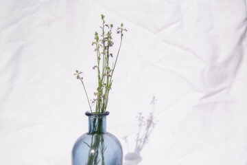Spring Flowers in a Blue Glass Vase on a White Solid Background