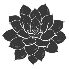 Obraz premium Silhouette Succulent plant black color only