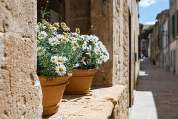 Kleine Gasse in der Altstadt von Alcudia (Mallorca)