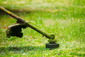 closeup of trimmer head cutting grass. professional lawn care background