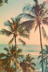 A beautiful tropical scene with palm trees and ocean