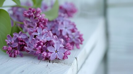 The lilac looks stunning against the backdrop of the white wooden surface