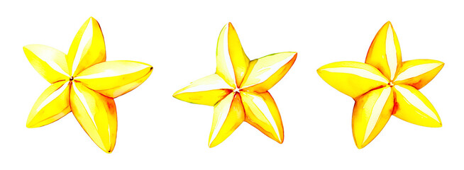 Fototapeta premium Carambola watercolor illustration, isolated starfruit on transparent background, set, collection, elements for design, stickers, invitatitions, banner.