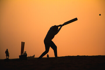 Cricketer silhouette