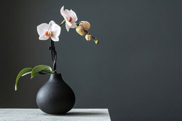 A sleek, black vase with a single, perfect orchid stem on a minimalist concrete table