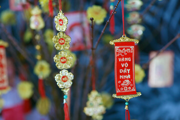Chinese Lunar New Year. Yellow tree decorated for vietnamese Tet celebration.
