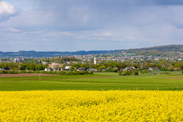 Blooming rapeseed field with a view of Menden sauerland (Platte Heide)