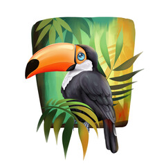 Obraz premium Toucan bird illustration. Tropical rainforest birds with palm leave