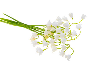 lily of the valley flowers isolated