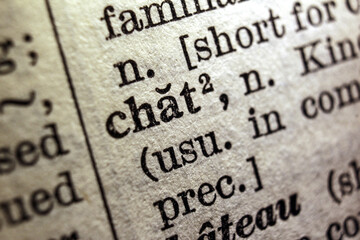 Word chat on dictionary page, macro close-up