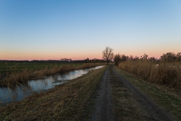 Fototapeta na wymiar Evening landscape at sunset by the pond.