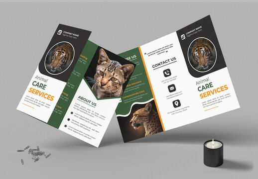 Animal Care Trifold Layout