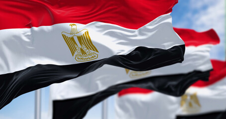 National flags of Egypt waving in the wind on a clear day - 793028276