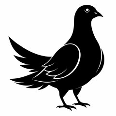 dove silhouette vector illustration