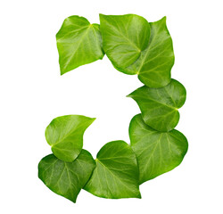 Green ivy leaves in shape alphabet letter J, isolated on white, clipping path