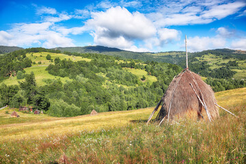 Amazing countryside landscape of romanian village Rogojel with forested hills and haystacks on a grassy rural field in mountains