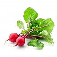 Fresh Radishes with Green Leaves on a White Background. Generated by AI