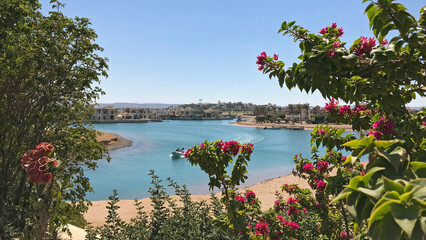 El Gouna in Egypt with lagoon, canals, flowers, and plants during hot summer sunny day