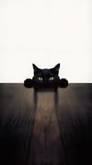 a black cat is looking up at the camera