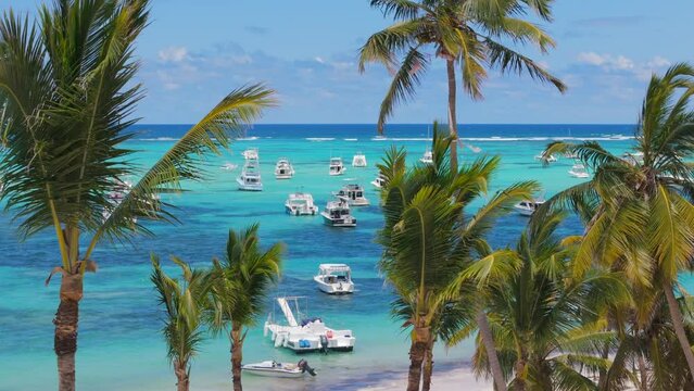 Aerial view through the green palm trees of many anchored yachts and tourist boats in the turquoise Caribbean sea. Clear blue sky on the horizon. Fishing and vacation in Punta Cana