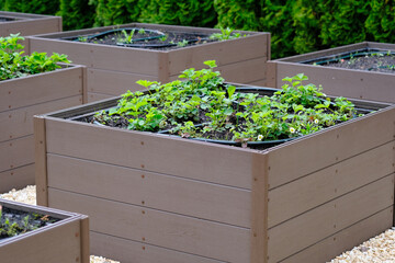 Row of Wooden Planters Filled With Plants