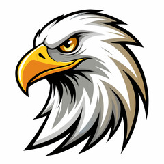 American bald eagle head vector illustration