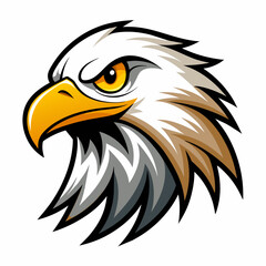 American bald eagle head vector illustration