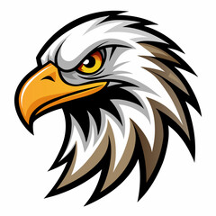 American bald eagle head vector illustration