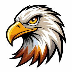 American bald eagle head vector illustration