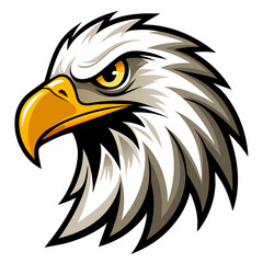 American bald eagle head vector illustration