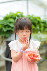 いちご狩りで苺を食べる小さな女の子