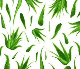 Pattern of Aloe Vera plant isolated on white background. Alternative medicine. Wellness and beauty product. Vector illustration.