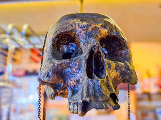 A human skull is suspended over a bar in a rustic country bar in Czech