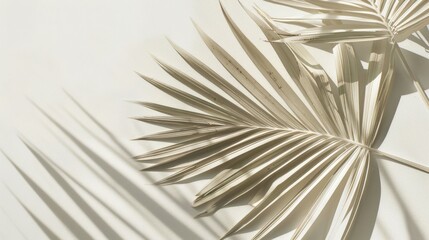 Fototapeta premium Paper Palm Leaf on White Background