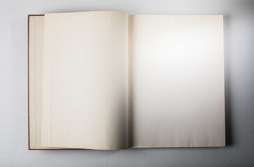 Vintage open book with blank pages