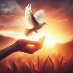 Dove flies off your hand. Prosperity and freedom concept. International day of peace. Blurred background
