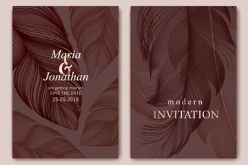 Pale feathers. Line art bird feather. Card, wallpaper, background template. Soft, elegant concept. Luxury design. Soft natural colors.