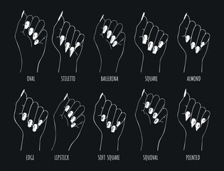 nail shape manicure vector outline on black background. brushes of female hands with different shapes of nails for manicure vector line graphics. wrist hand shape nails vector sketch set